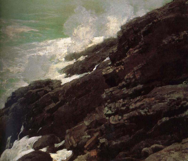 Winslow Homer Coastal cliffs oil painting image